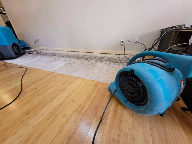Professional Water Damage Repair technician working in Lagunitas, CA